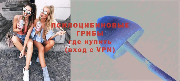 мескалин Киреевск
